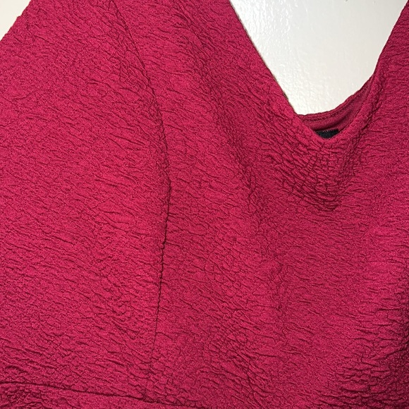 Torrid red texture dress size 2 - Picture 4 of 5